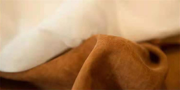 香云纱女装加盟费