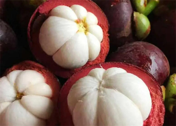 大晴水果加盟费