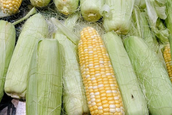 美宜多连锁超市