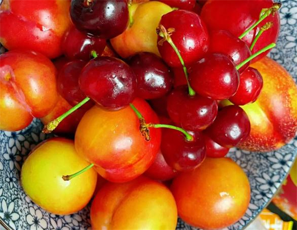 大晴水果加盟费