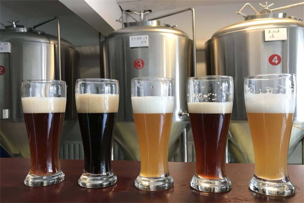 麦德熊精酿酒馆加盟