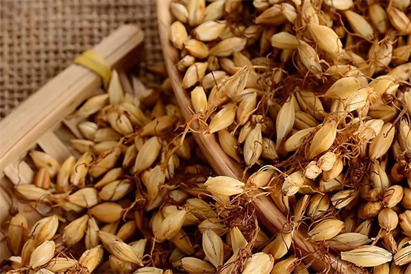 麦德熊精酿酒馆加盟