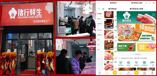 猪行鲜生加盟