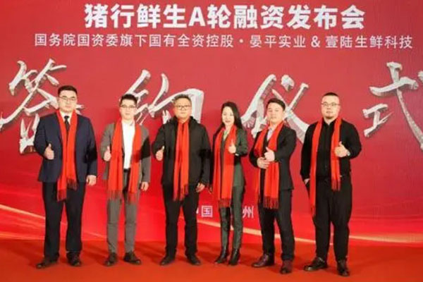 猪行鲜生加盟