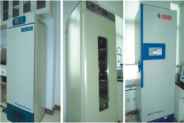 藏诺熏蒸馆加盟