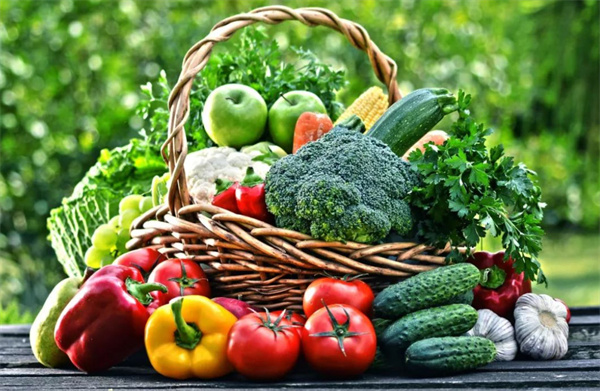 绿色有机食品加盟