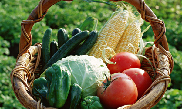 绿色有机食品加盟