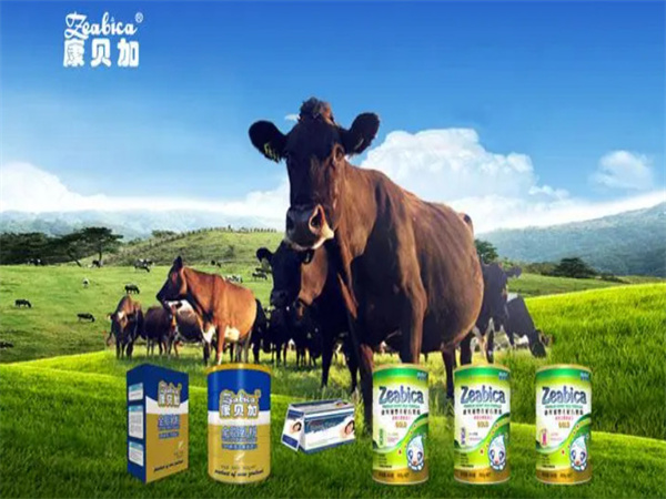 康贝加奶粉加盟
