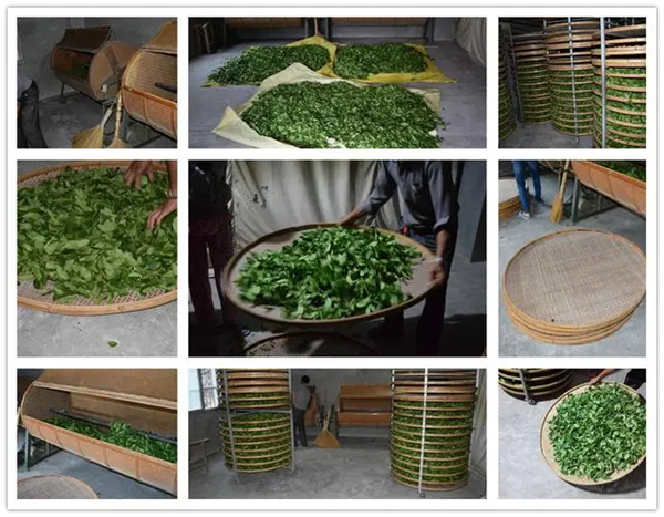 铁观音连锁加盟