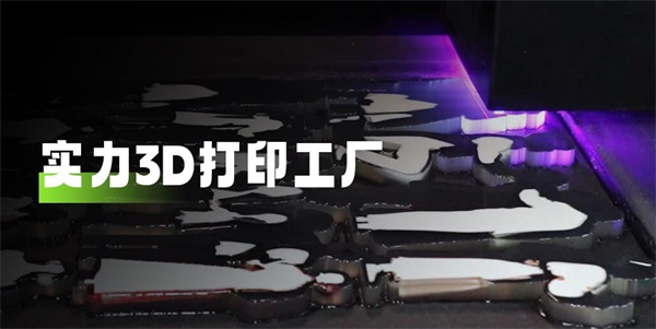 速蛙3D摄影&赛纳三维合作加盟