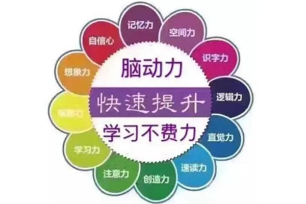 全脑教育培训加盟