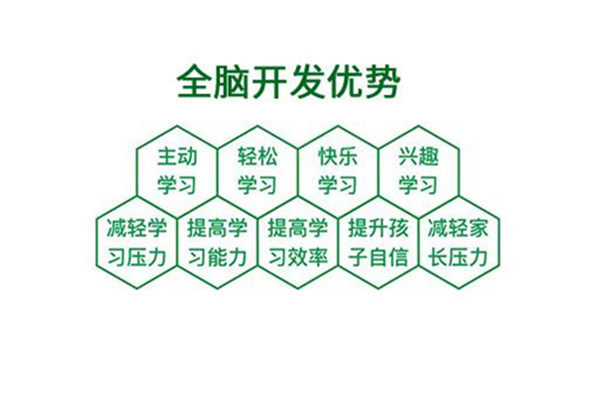 全脑教育培训加盟