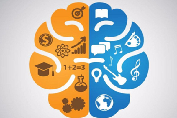 全脑教育培训加盟