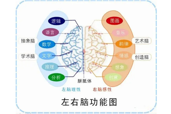 全脑教育培训加盟