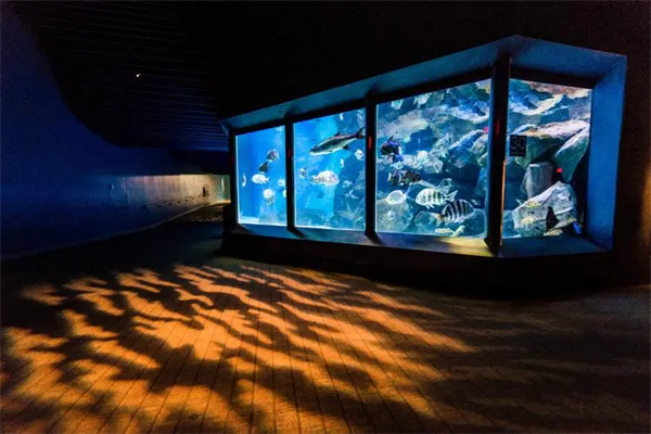 水族馆