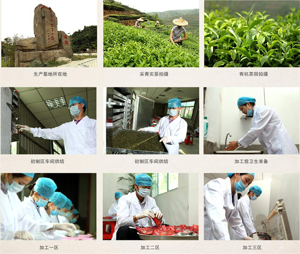 九州韵茶叶加盟