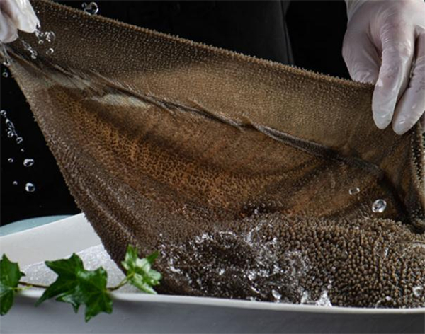 蜀九香火锅加盟