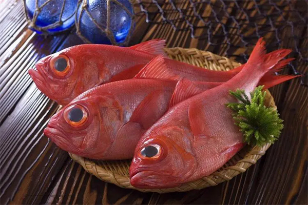 日本游泳鱼骨寿司加盟