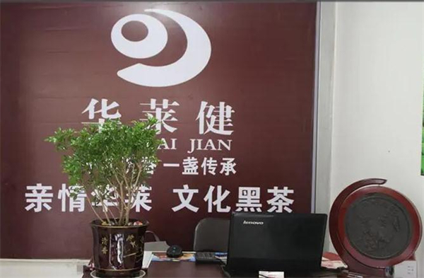 华莱健黑茶