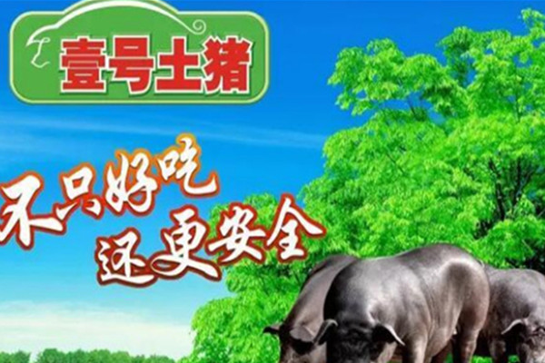 壹号土猪连锁店