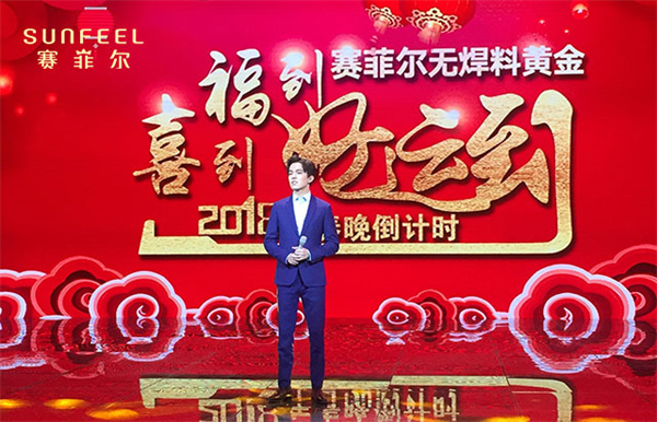 赛菲尔加盟费