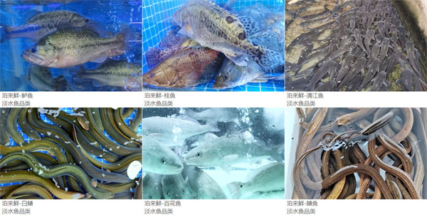 泊来鲜海鲜超市加盟费