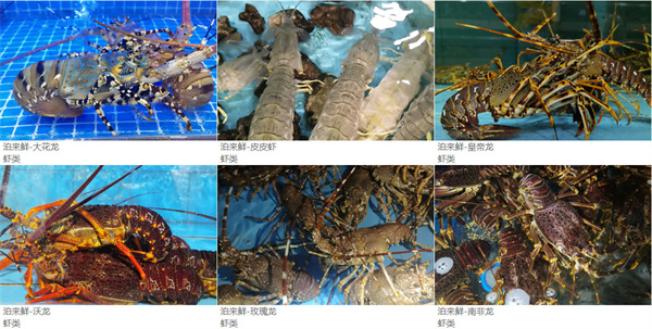 泊来鲜海鲜超市加盟费