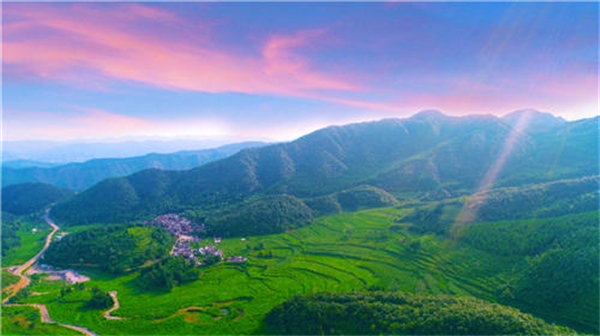 人民小酒加盟费