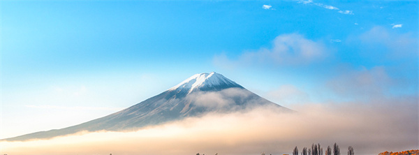 大董烤鸭店加盟