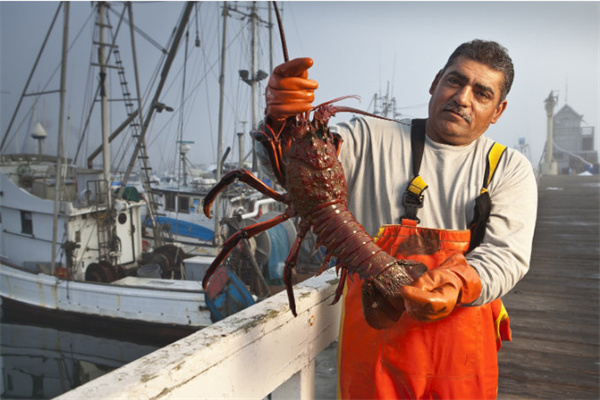 泊来鲜火爆ZFE连锁加盟展