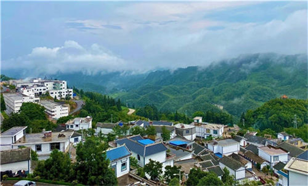 人民小酒加盟费