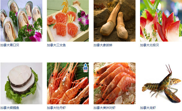 舶来鲜海鲜加盟