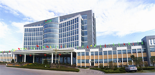 金锣火腿肠加盟