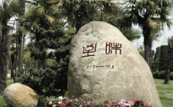 太太乐鸡精加盟