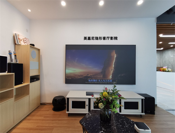 专业私人家庭影院