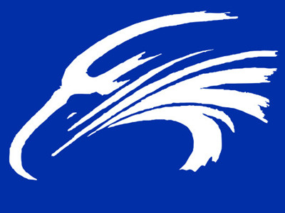 老鹰画室加盟费