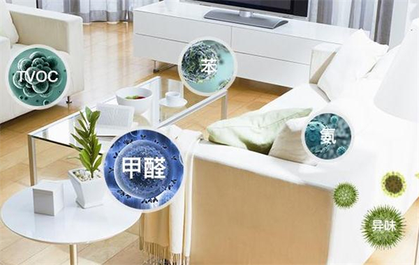 室内除甲醛加盟