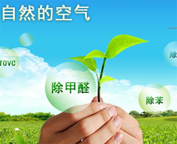 室内除甲醛加盟