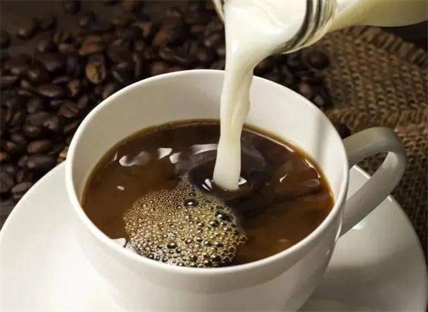 每天咖啡加盟费多少钱