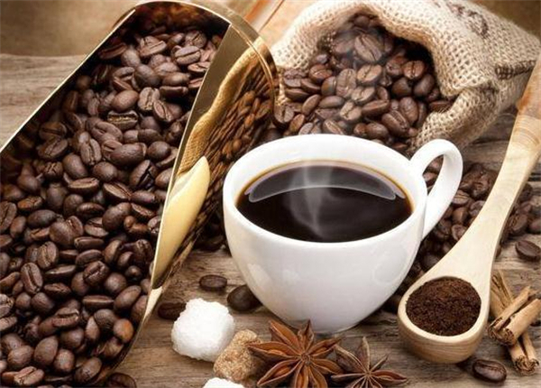 每天咖啡加盟费多少钱