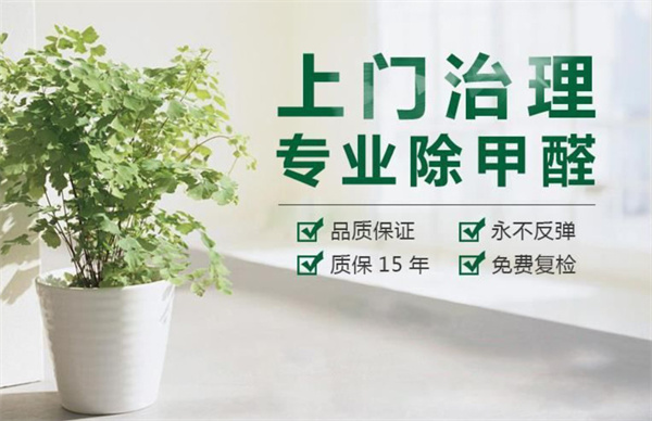 室内除甲醛公司加盟