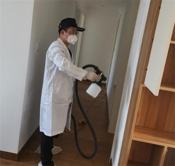 室内环保除甲醛加盟