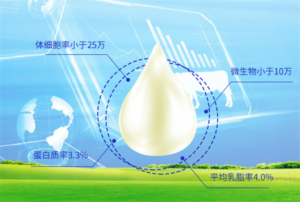 完达山乳业加盟费