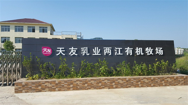 天友乳业加盟费是多少