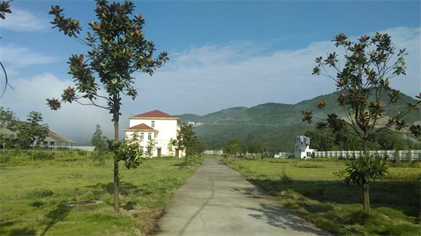 天友乳业加盟费是多少