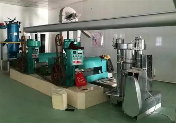 榨油帮榨油机加盟