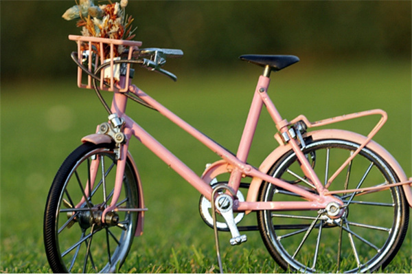 黑马自行车加盟