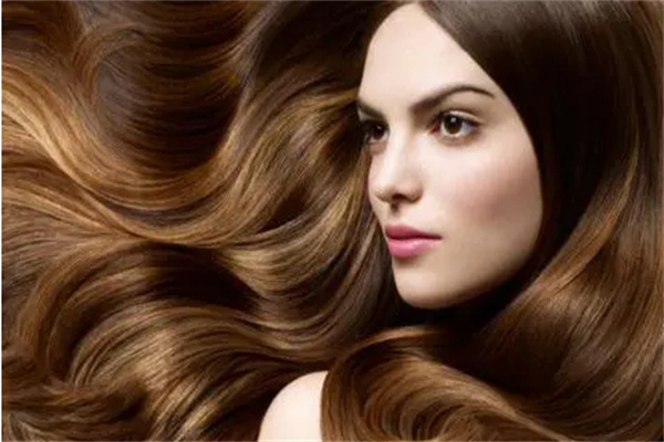 养发护发加盟费