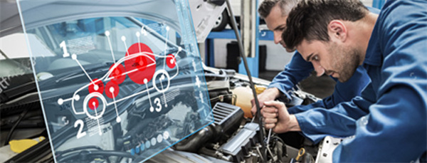 梅特莱斯加盟费