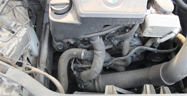 梅特莱斯加盟费